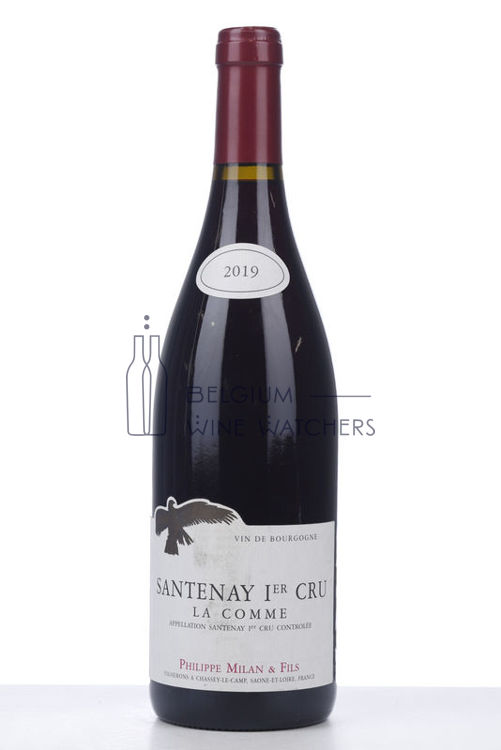 Image de 2019 SANTENAY LA COMME
